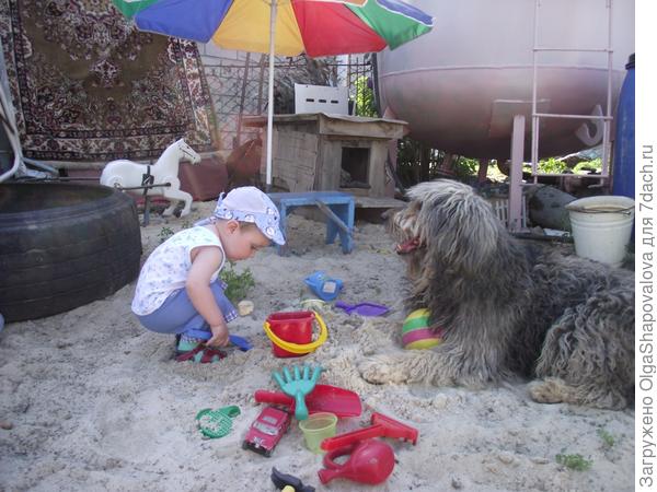 Тёма на даче играет под надёжной охраной.