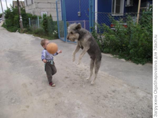 Весной на даче Тёма играет в футбол с Жаном.