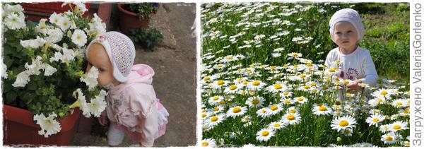 Ни хлопоты о перенюхивании всех цветов