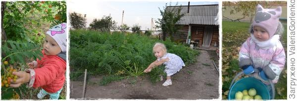 Ни приятные заботы о сборе урожая