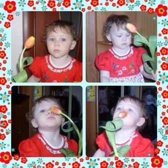 цветы