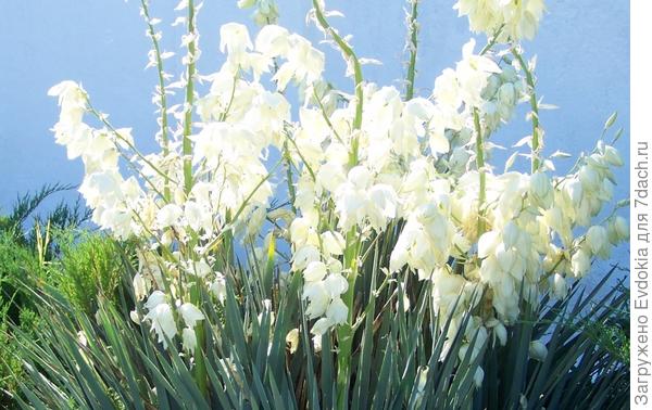 Поздравляю!