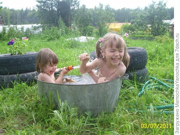 Шалим в вводе