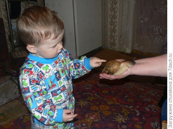 А вот такое я и не ожидал здесь увидеть :)