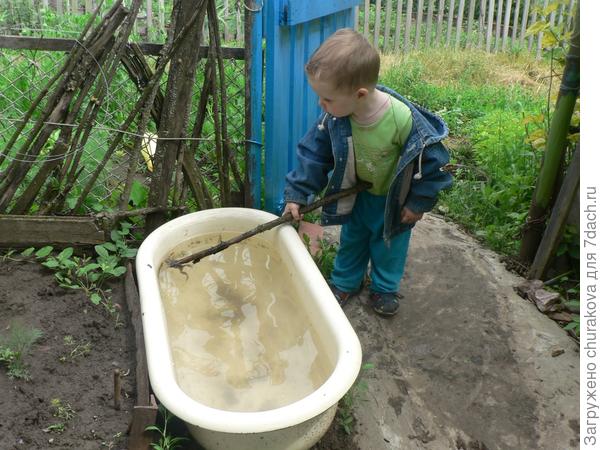 Лягушечка!!!