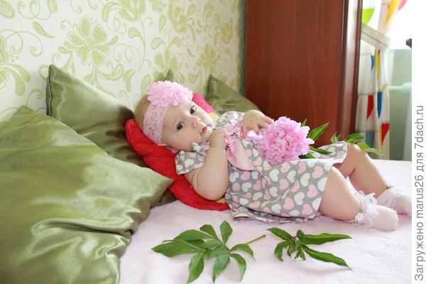 пионы