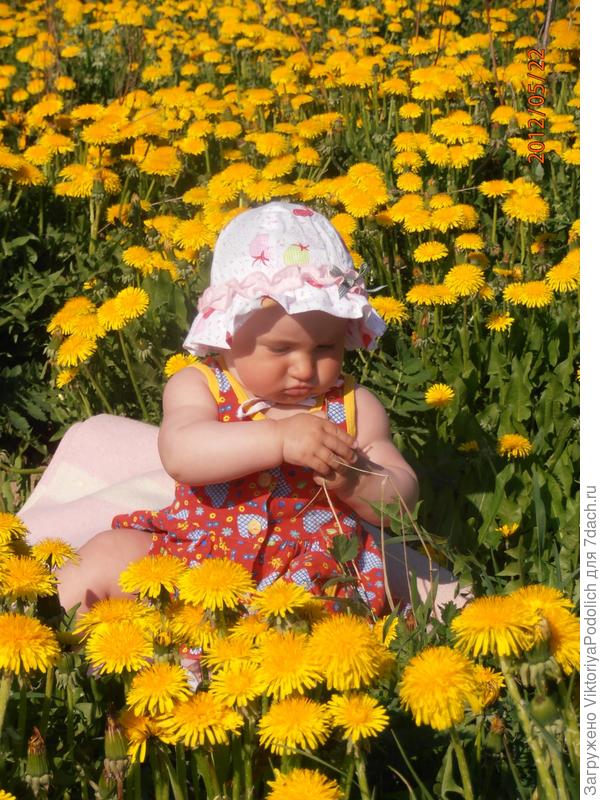 что за чудные цветы, не земной красоты....