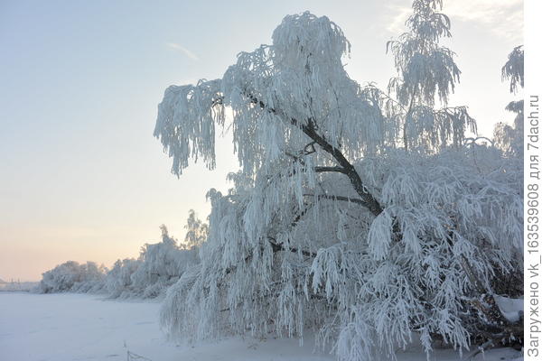 зима