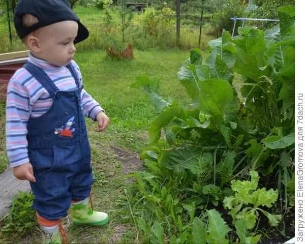 Зато хрен уродился на славу! Теперь маленький я! :)