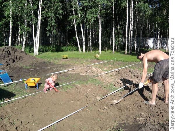 Поля с папой выравнивают землю под газон.