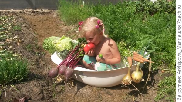 Наверное, больше всего из урожая нашей малышке полюбились помидоры.