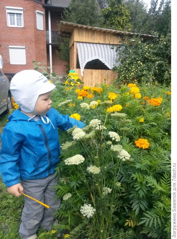 Маме подарю!