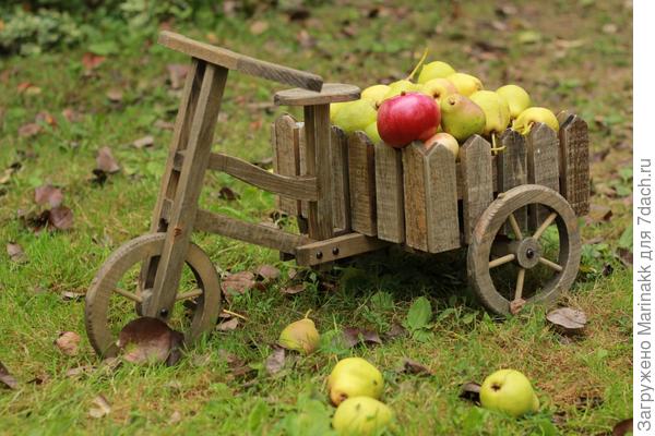Я помог собрать целую тележку! хороший урожай