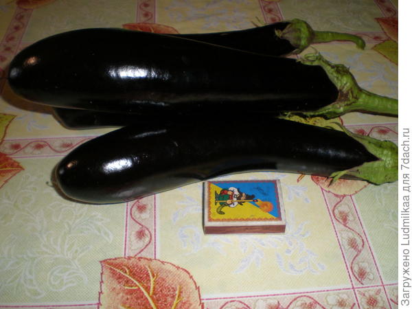 Баклажан Валентина F-1