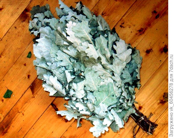 Дубовый веник