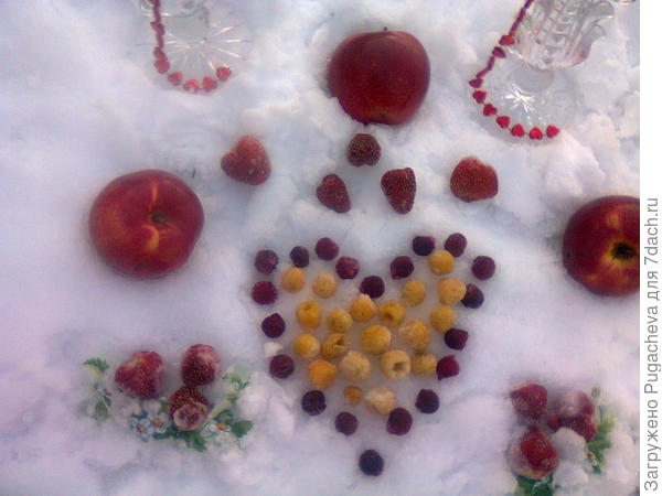 Лето на снегу