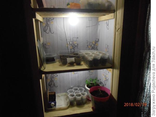 полки с подсветкой