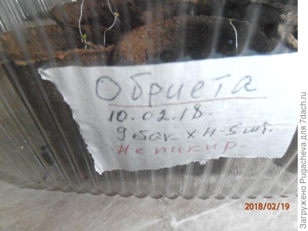 коробка с надписью цветка и датой посева