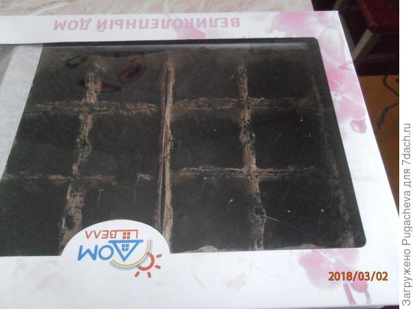 горшочки укрытые прозрачной коробкой