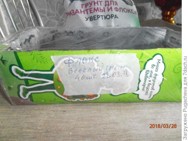 укрытые плёнкой семена для проращиван ия.