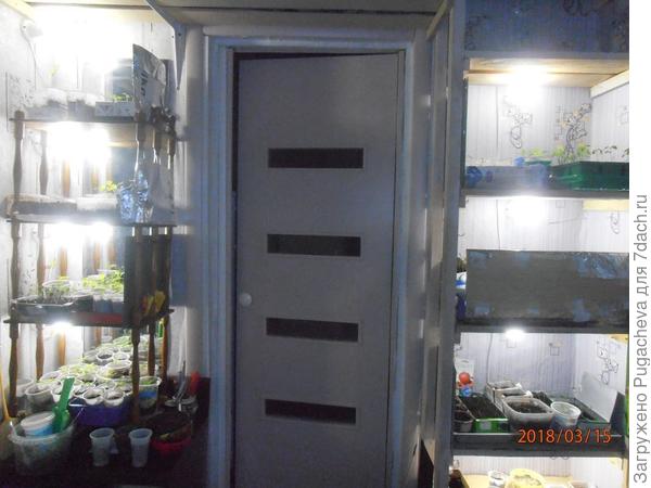 рассада с подсветкой