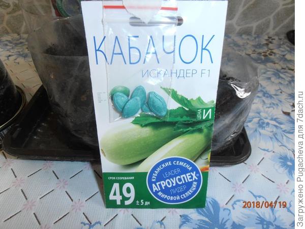 семена в стаканчиках с землёй