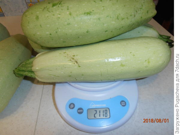 3 шт.-2118 гр.