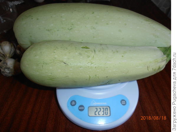 2 шт.весом2230 гр.