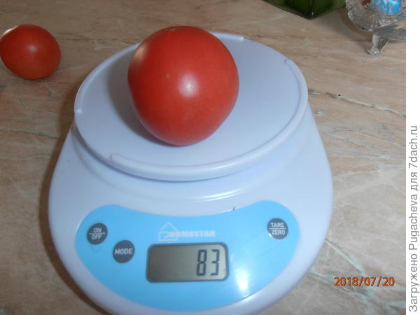 вес 83 гр.