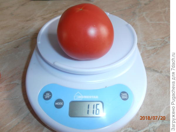 вес 116 гр.