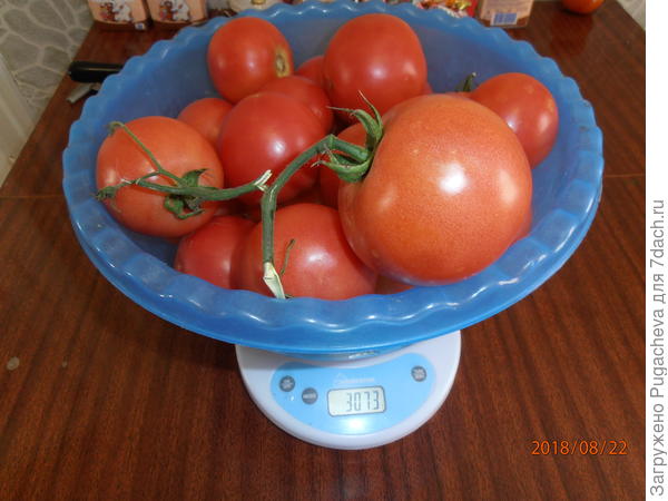 вес 3073