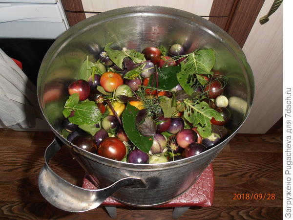 А это вчера сложила зелёные,бурые и все остатки чтоб не пропали.