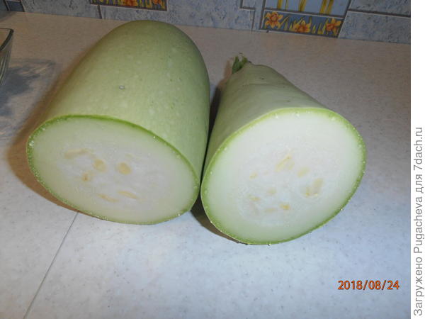 кабачок в разрезе