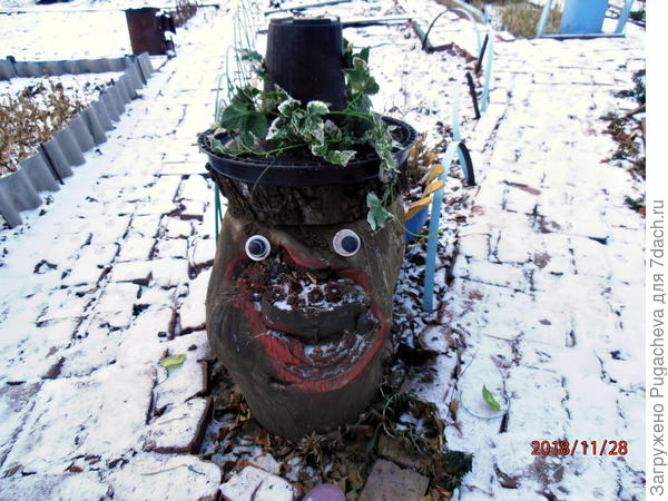 с пластиковым горшком