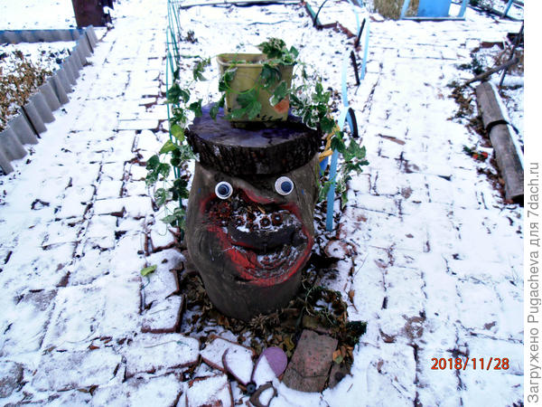 ...с керамическим кашпо