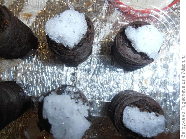 посев по снегу