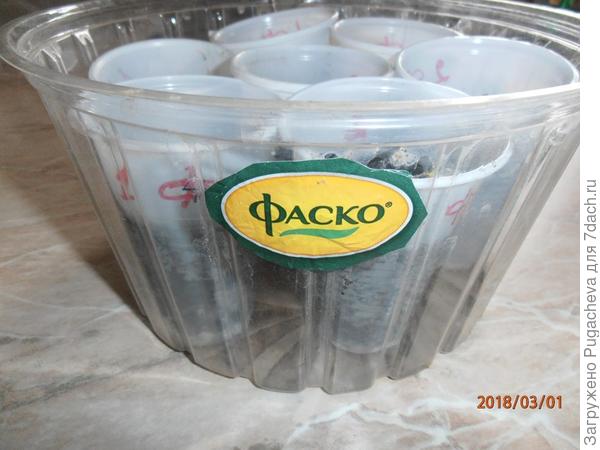 коробка ФАСКО