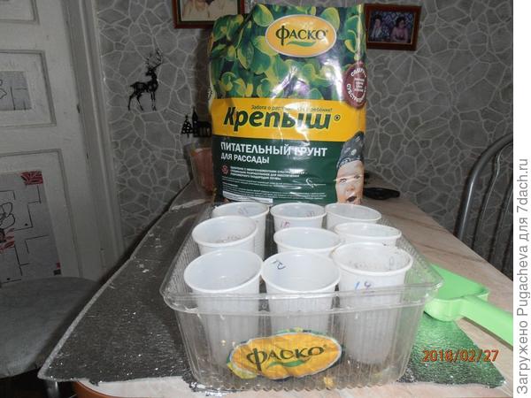 грунт ФАСКО
