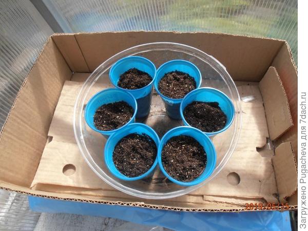 поставила в теплое место