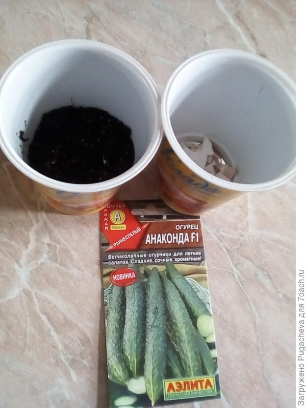 стаканчики с грунтом