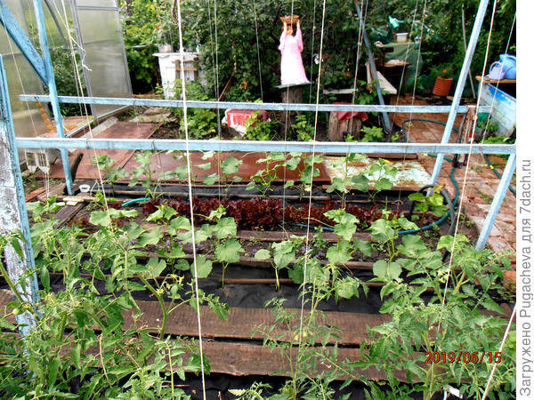 где то доски