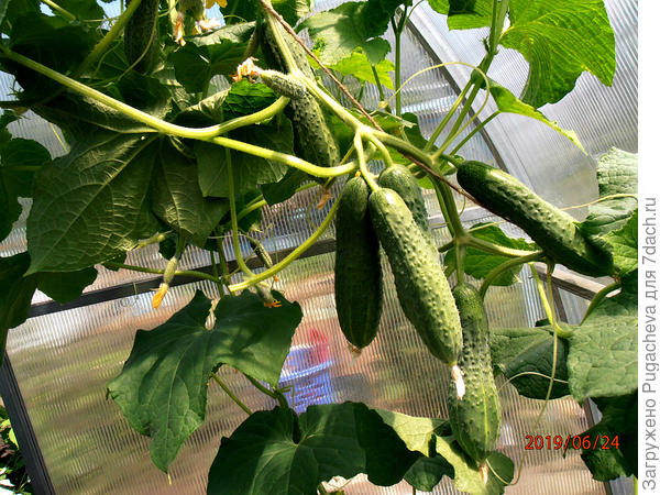 спустя 2 дня