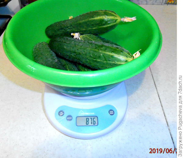 ...а пучок то невелик,да дОрог