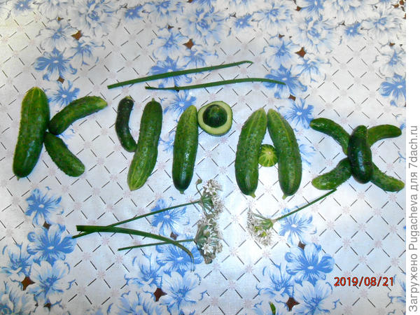 ...форму набрали...