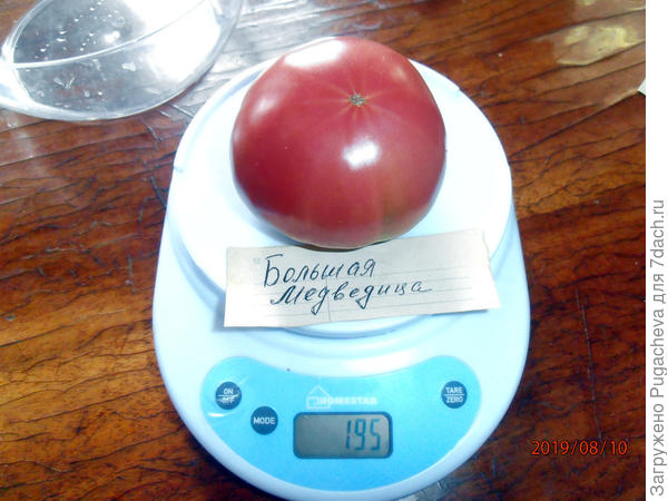 195 гр.