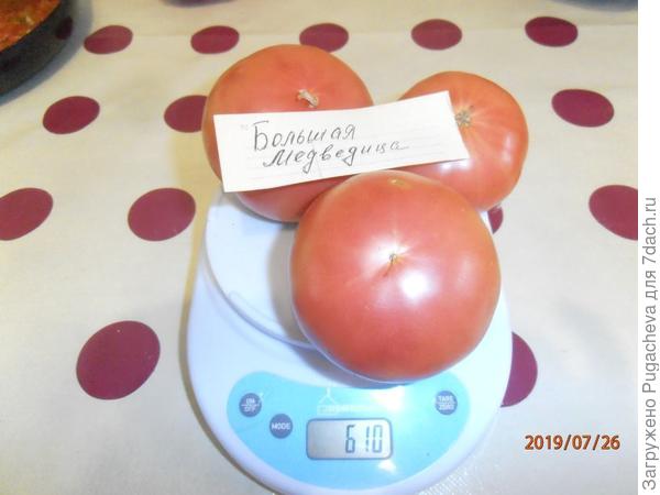 610 гр.