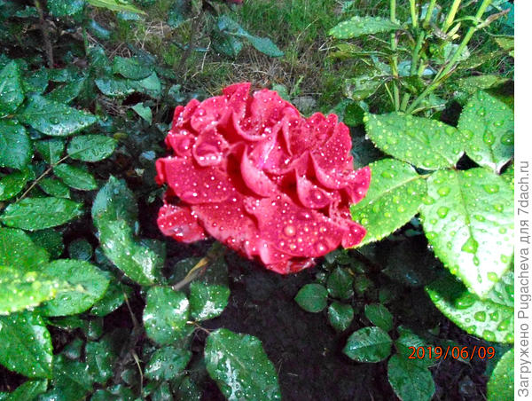 ...после дождя