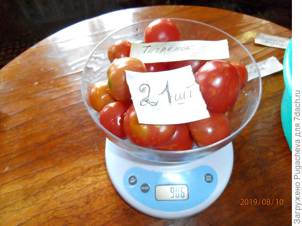 ...21 шт. 906 гр.