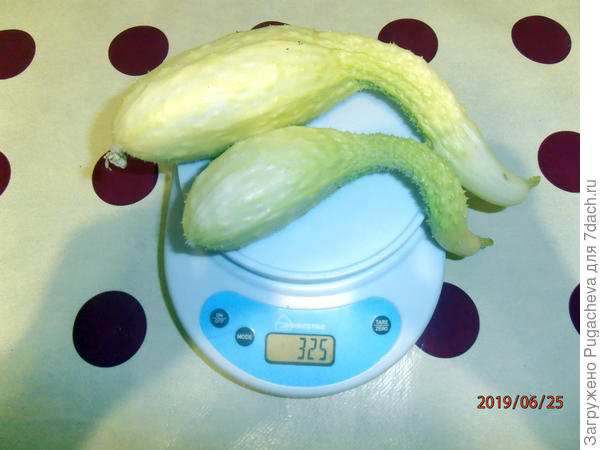 325 гр.