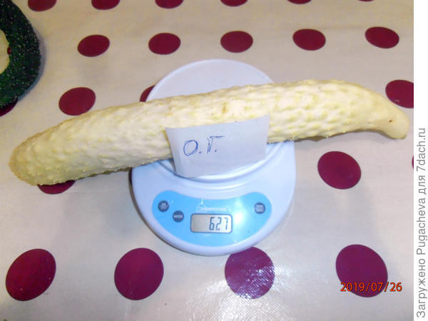 627 гр.